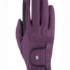 Roeckl Malta Two Tone Winter Chester Gloves - Grape Wine