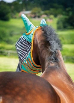 Shires Zeb-Tek Fly Mask - Zebra -Horse Rider Shop zebraflymasktealrdy